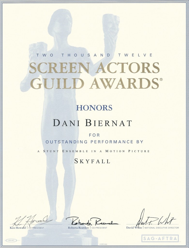award skyfall